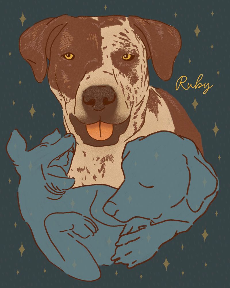 Illustration of a dog named Ruby