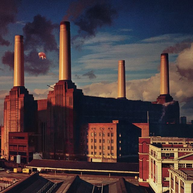 Pink Floyd · Animals · Song · 1977