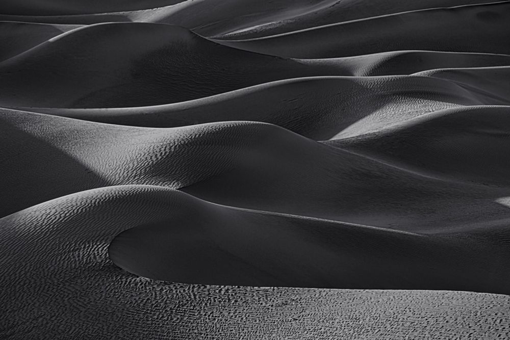 Black and white image of dune field with light on left side of curved dunes