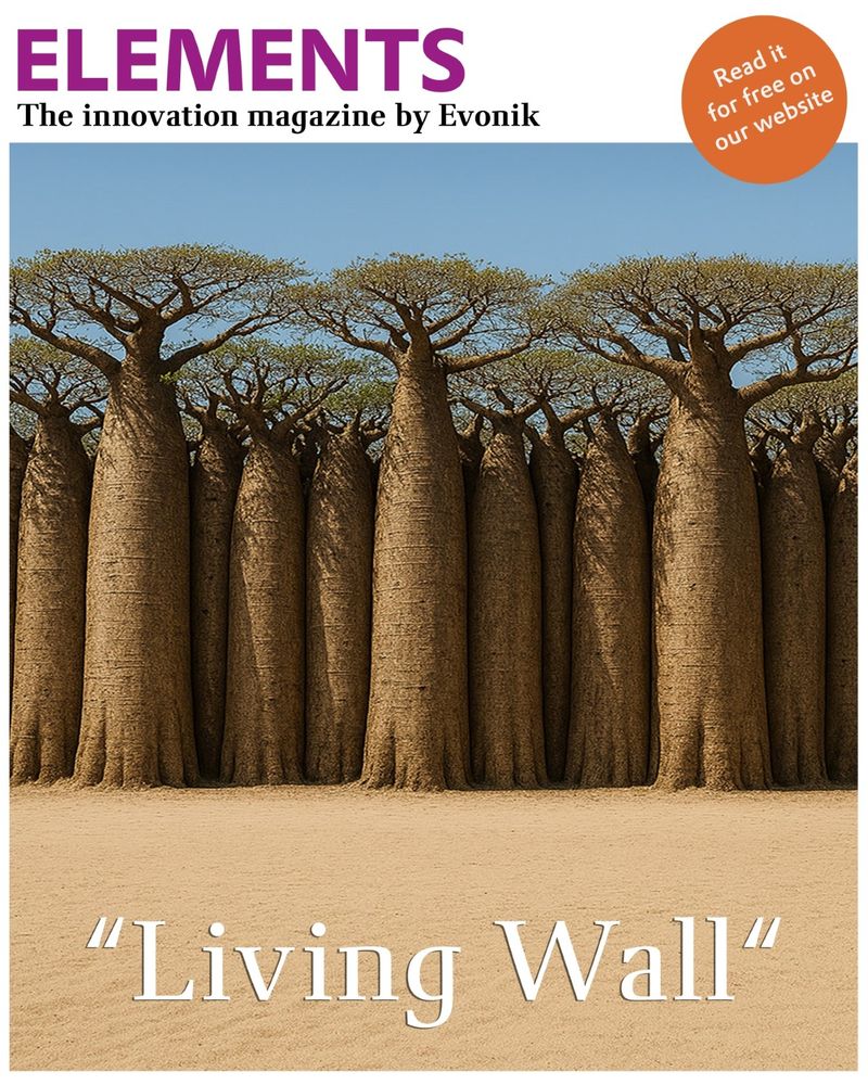 The AI-generated image depicts an impressive gathering of baobab trees in a desert landscape. The thick, upright shape of the trees gives the impression of a wall rising against the clear sky. The title "Living Wall" is elegantly placed at the bottom of the image. In the top left corner, the title of the innovation magazine "ELEMENTS" by Evonik is displayed, while an orange circle invites readers to learn more on the website.