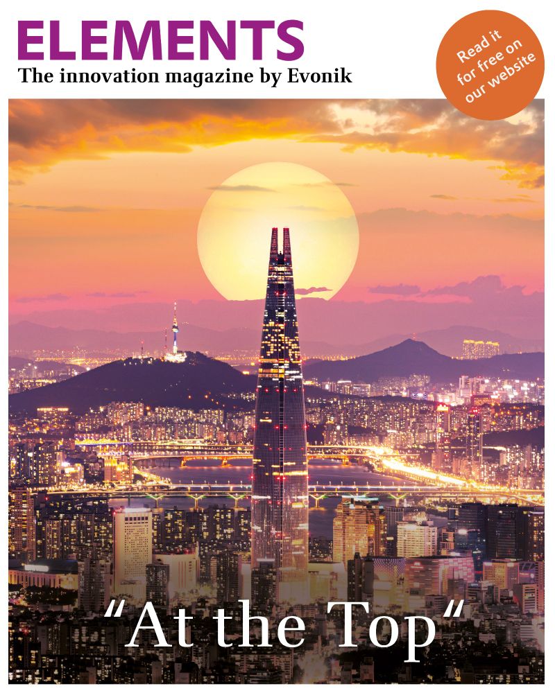 The Seoul-Tower in front of a huge setting sun (zoom effect)