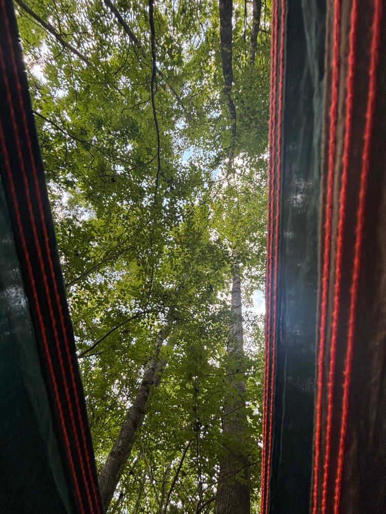 Picture taken from inside of a hammock. The hammock has bright orange threading and is vertically striped, green and brown. In the middle are tall trees blocking a partially cloudy sky. 