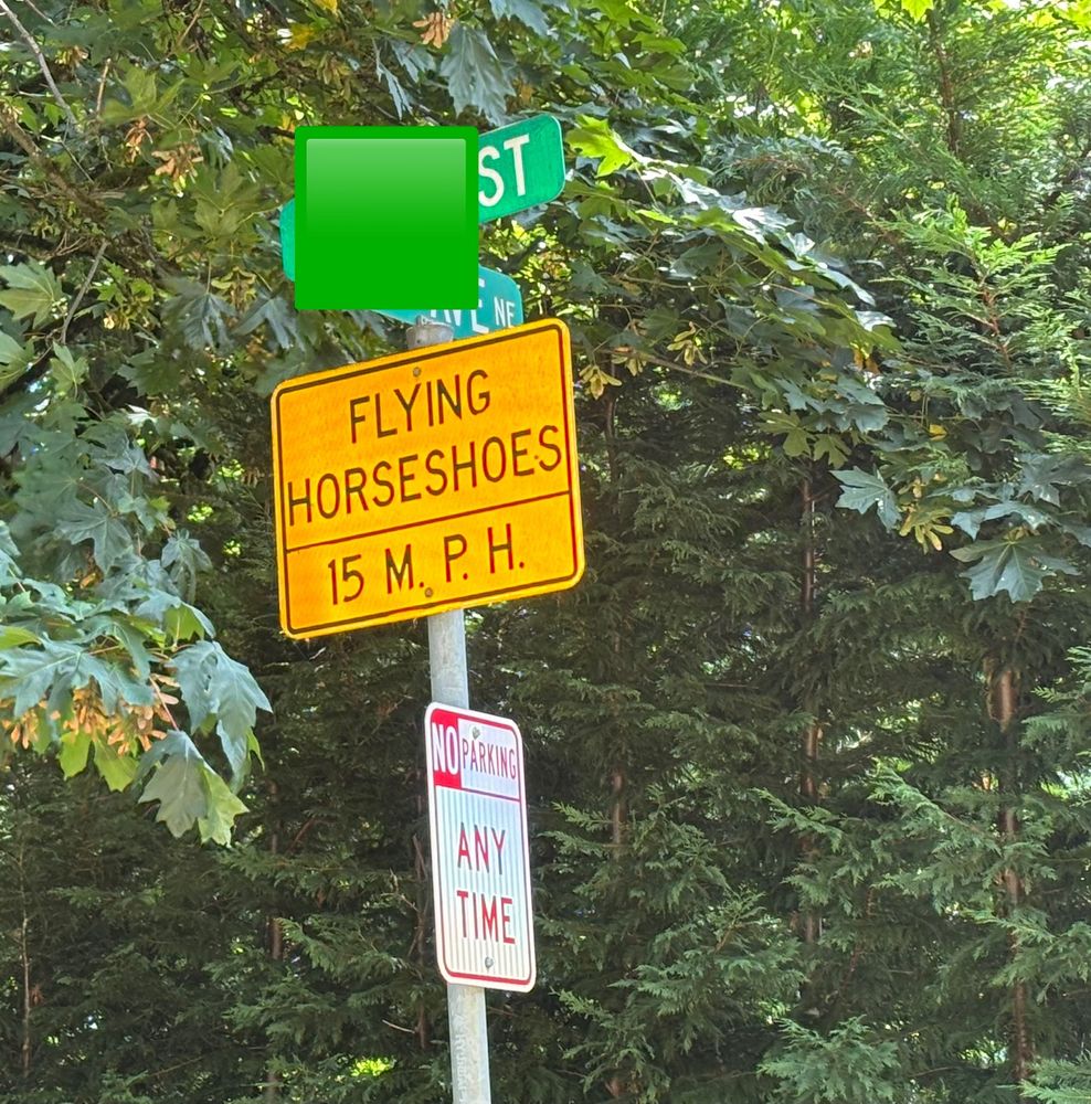 Flying horseshoes sign 