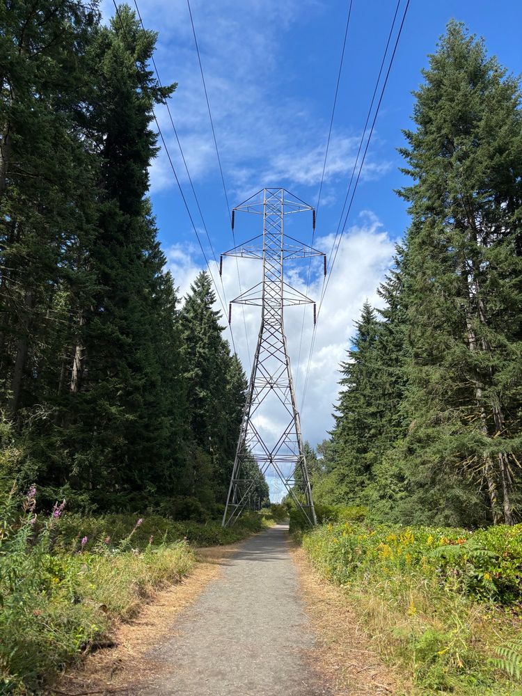 Power line trail