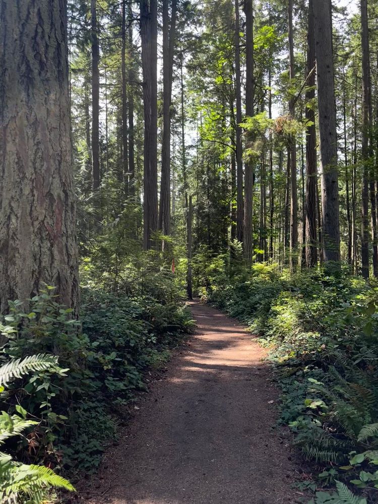 Bridle trails state park 