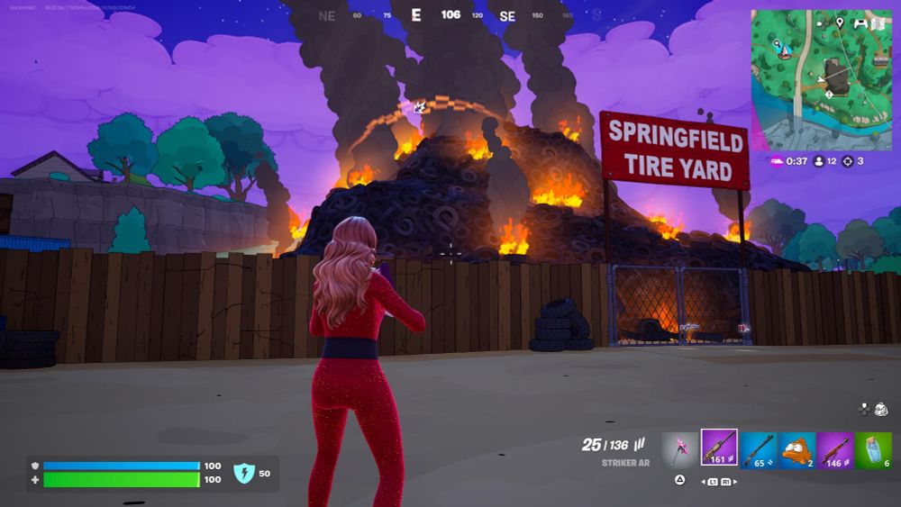 Maria Carey standing in front of the Springfield Tire fire