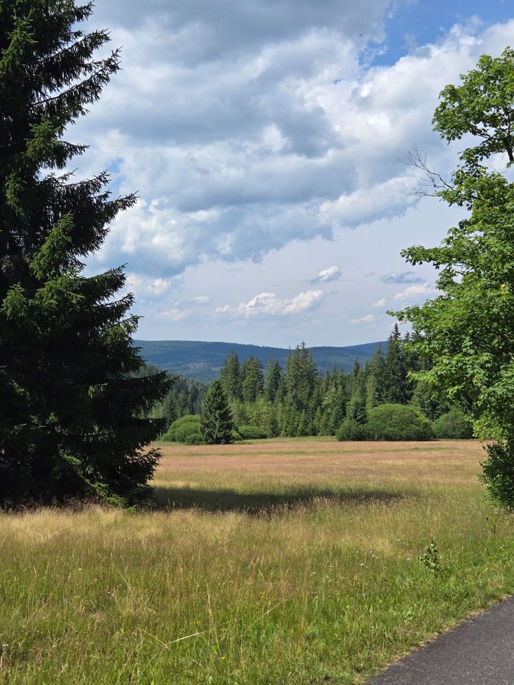 Nature views in the Czech mountains