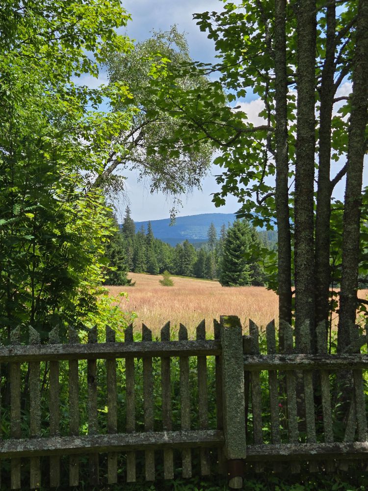 Nature views in the Czech mountains