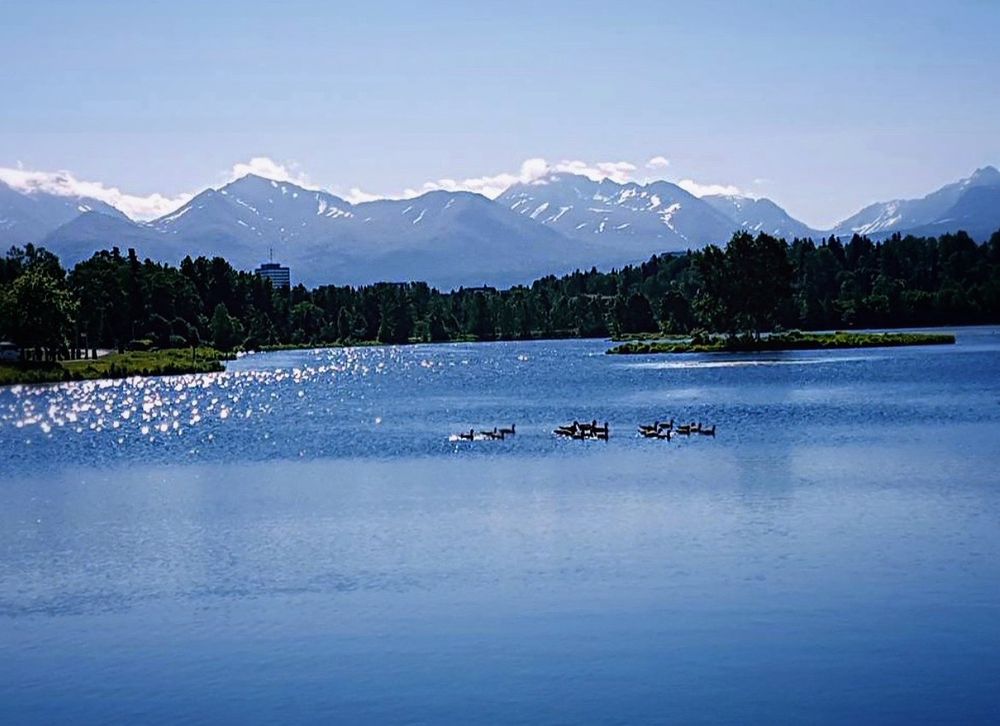 June 17, 2017. A photo I took of the mountains far off im the distance behind a lake in Anchorage, Alaska. A flock of birds are swimming in the lake, and the shore is outline with green forest.