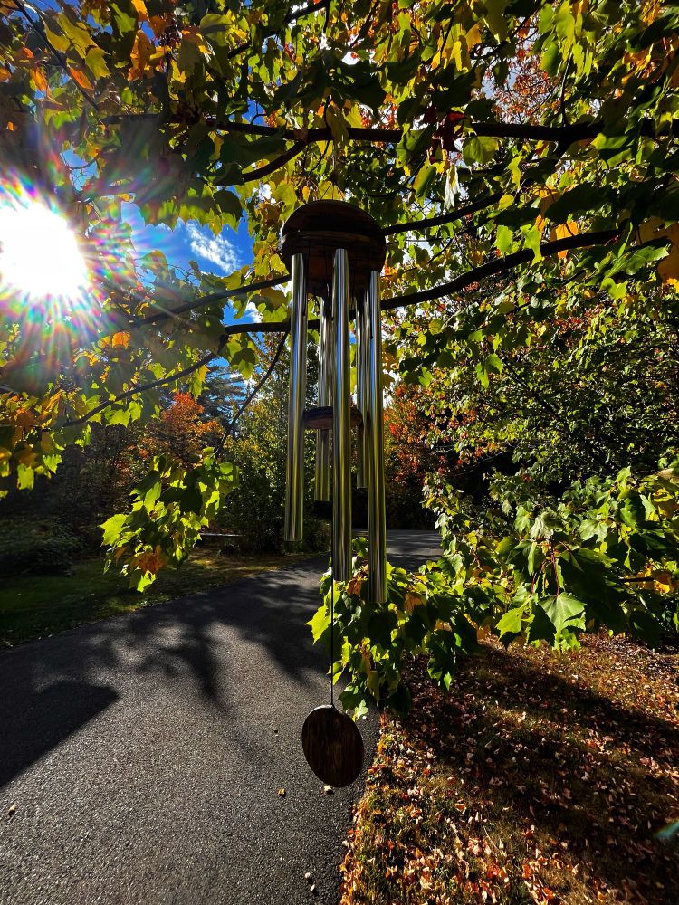 Silver wind chimes hanging off my maple tree, sunlight’s glare off to the side of the frame, autumn leaves on the ground.