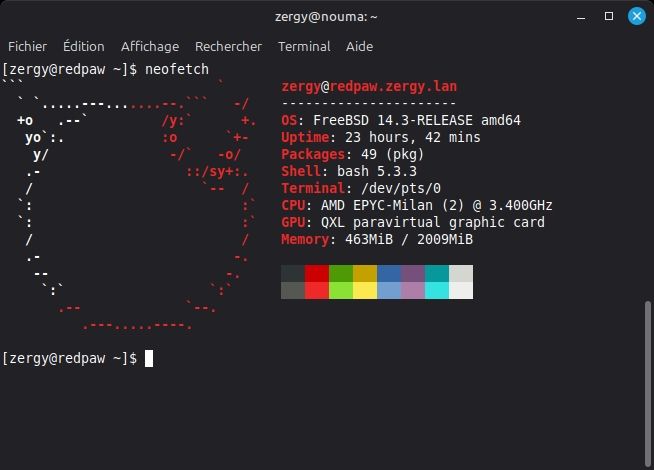 Une capture d'écran d'un terminal affichant le résultat de la commande « neofetch » sur FreeBSD.