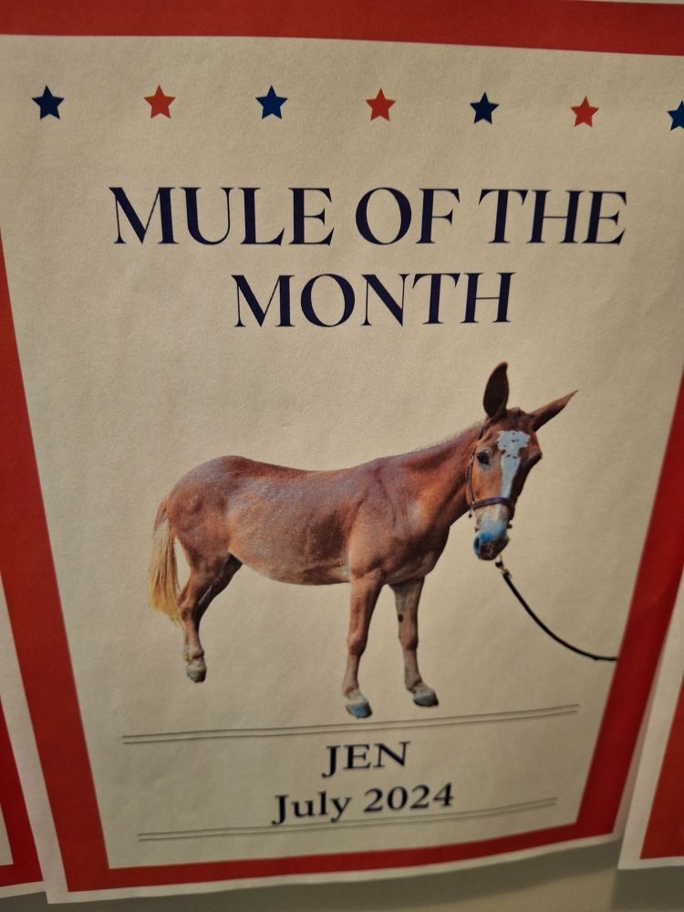 Poster of a mule, reads "Mule of the Month, Jen, July 2024."