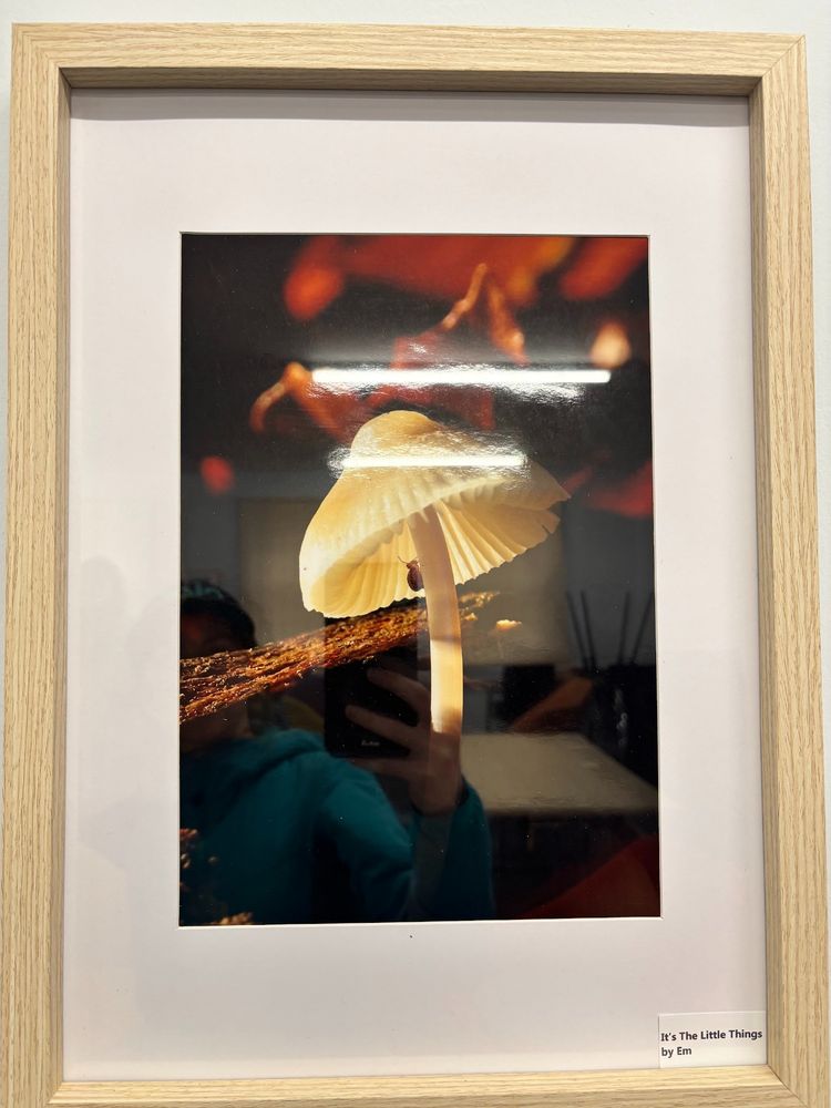 Photo by Emily on the wall 