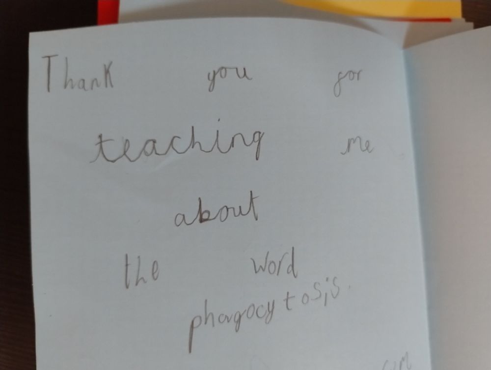 Text saying "thank you for teaching me about phagocytosis"