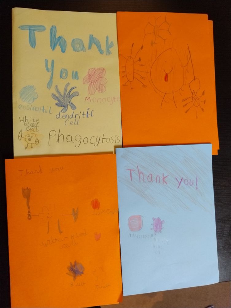 Thank you cards with immune cells drawn on by children