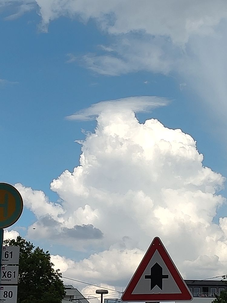 Fluffy cumulus cloud growing high into the sky, with a bit of a blurry ice cloud hat at the top. Road sign in front.
