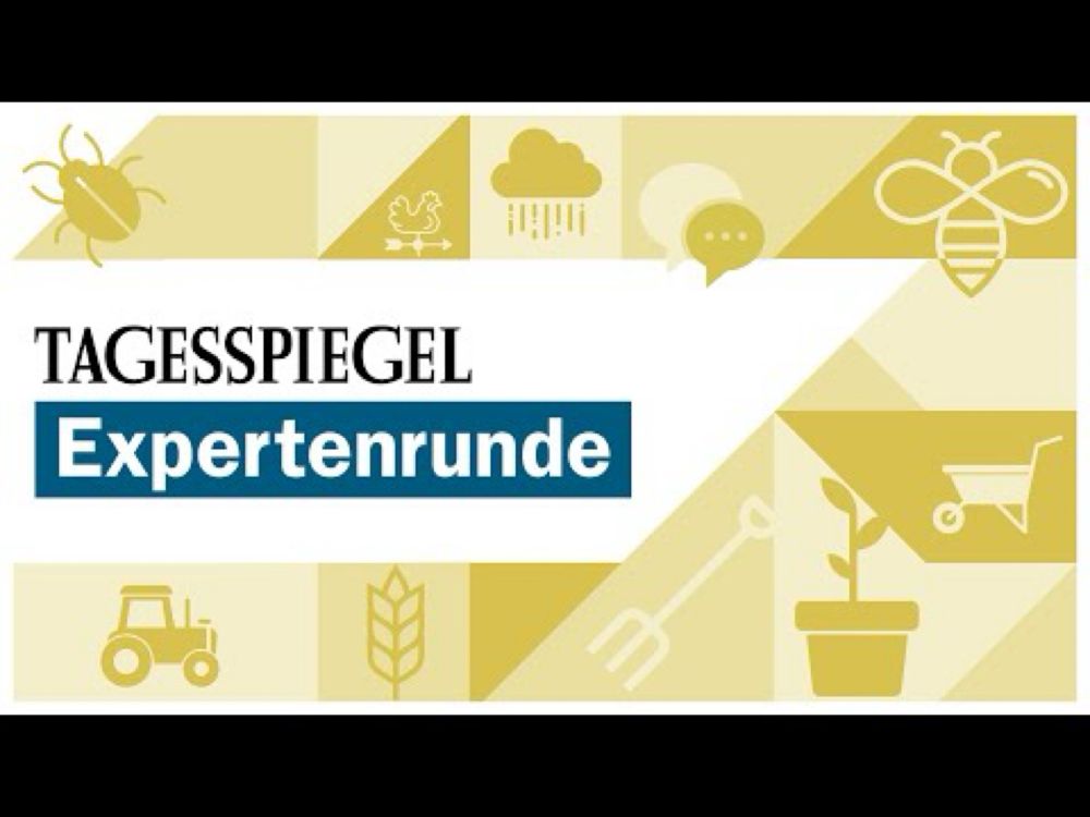 Expertenrunde "Zu Tisch für... New Food"