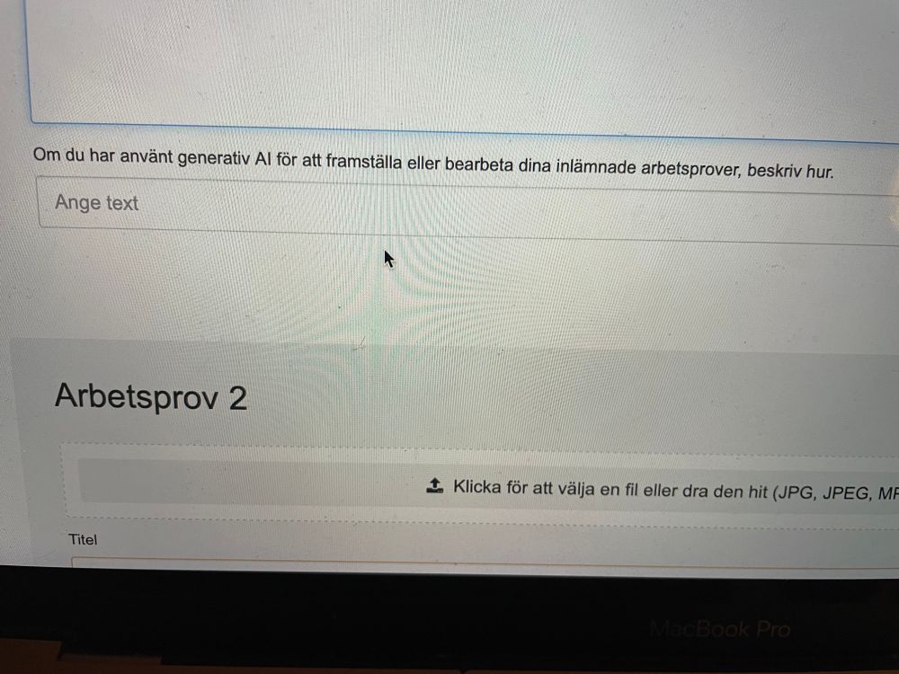 Konstnärsnämndens ansökan. Det står Om du använt generativ ai för att framställa eller bearbeta dina inlämnade arbetsprover. Beskriv hur. 