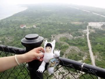 A picture of me holding a doll of Max from where the wild things are in the same location as Mike's picture!