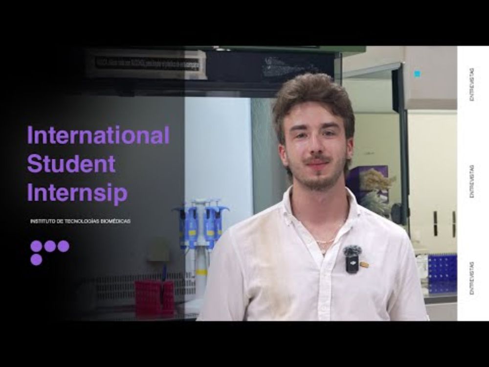 International Student Internship: Radu Cristache
