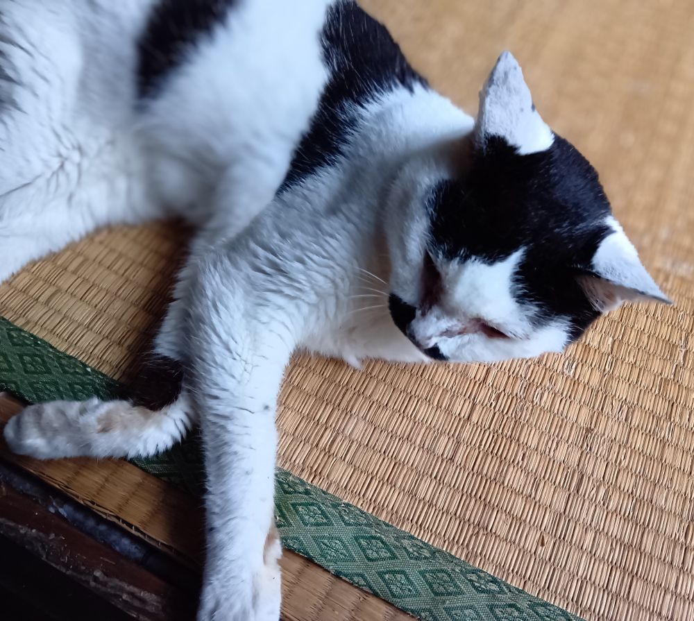 8/5
17:00撮影