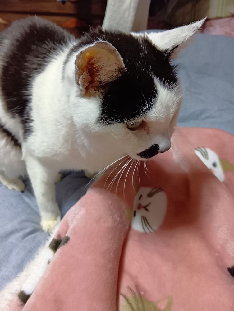 12/6
18:40撮影