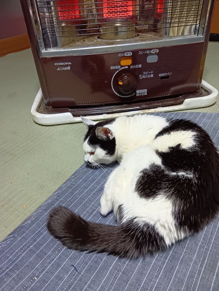 12/7
AM6:08撮影