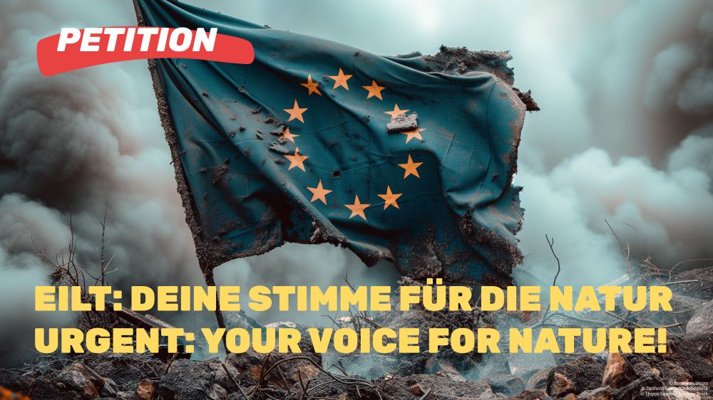 Eilt! Deine Stimme für die Natur | Urgent: Your voice for nature!