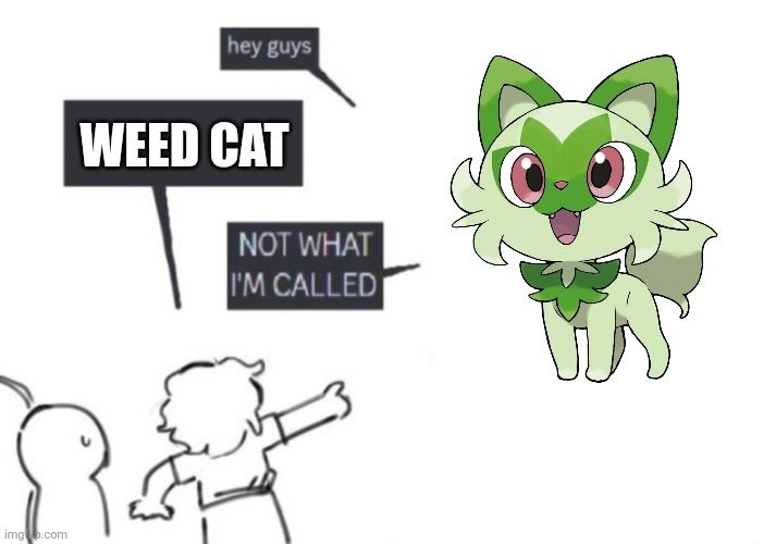 Sprigatito: "hey guys"
Someone: "WEED CAT"
Sprigatito: "NOT WHAT I'M CALLED"