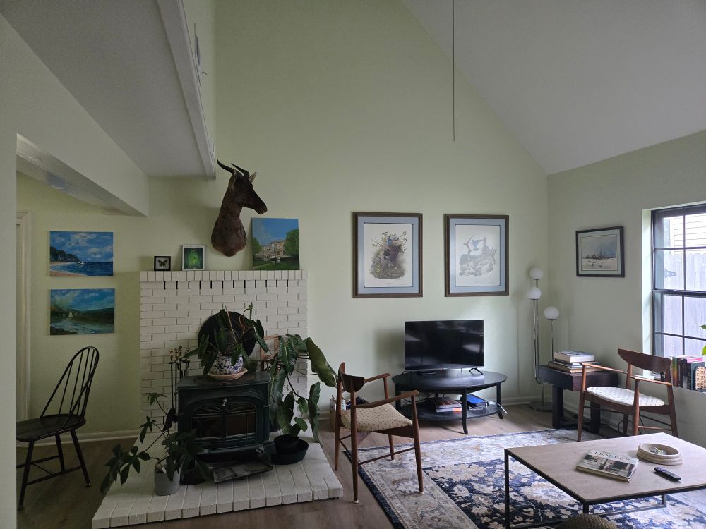 Interior of the new house's living room. Showing an antelope mounted on the wall