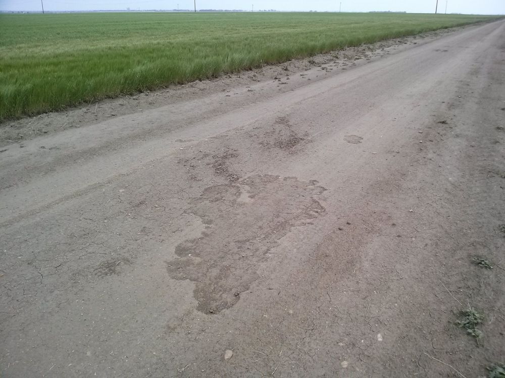 Photo: Nws
