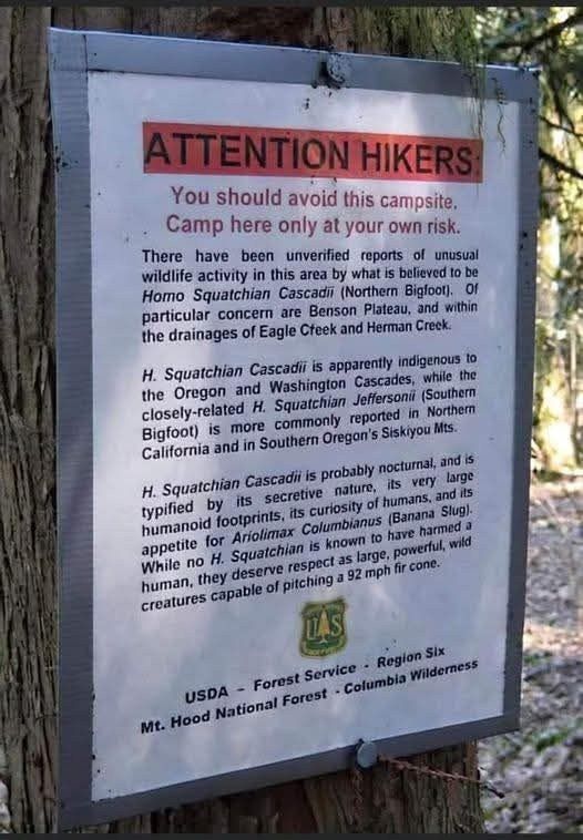 
Sign printed on what appears to be 8.5” x 11” paper in a clear plastic sleeve and framed in silver duct tape. 

Attention Hikers
You should avoid this campsite.
Camp here only at your own risk. 
There have been unverified reports of unusual wildlife activity in this area by what is believed to be Homo Squatchian Cascadii (Northern Bigfoot). Of particular concern are Benson Plateau. and the drainages of Eagle Creek and Herman Creek.

H. Squatchian Cascadii is apparently indigenous to the Oregon and Washington Cascades, while the closely-related H. Squatchian Jeffersonii (Southern Big foot) is more commonly reported in Northern California and in Southern Oregon's Siskiyou Mountains. 
H. Squatchian Cascadii is probably nocturnal, and is typified by its secretive nature, its very large humanoid footprints, its curiosity of humans and its appetite for Ariolimax Columbianus (Banana Slug).
While no H. Squatchiani Cascadii is known to have harmed a human, they deserve respect as large powerful wild creatures capable of pitching a 92 mph fir cone. 

USDA -- Forest Service --  Region Six -- Mt. Hood National Forest -- Columbia Wilderness
Image: Green and yellow logo of US Forest Service
