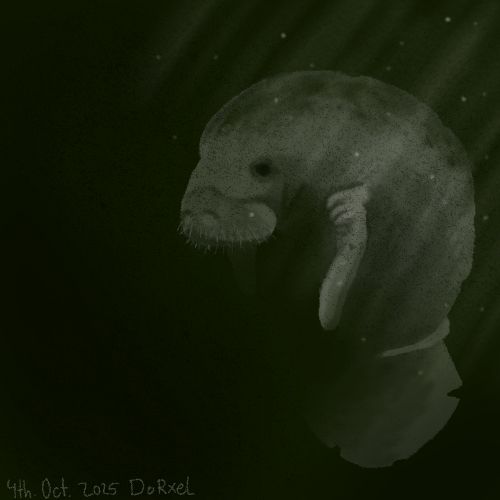 Digital painting of a manatee in deep, murky water. The manatee is upright, with the head and part of the back toward the surface and its tail toward the depths. It is covered in scars and algae. Some faint lightbeams are coming through from the upper right of the frame, illuminating its back and side enough to make it visible. Its belly and the lower left side of the frame are covered in dark green, almost black shadows.