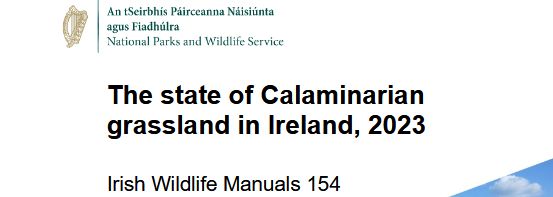 Section of the Irish Wildlife Manual covers. The state of Calaminarian
grassland in Ireland, 2023 Irish Wildlife Manuals 154, with the logo of the National Parks and Wildlife Service.