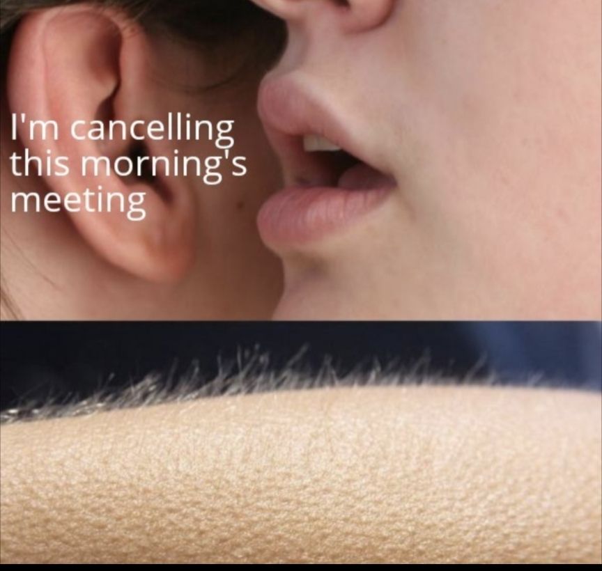 A woman whispering in someone's ear. Below, raised hairs on someone's arm. What did she say to cause these shivers? "I'm cancelling this morning's meeting"