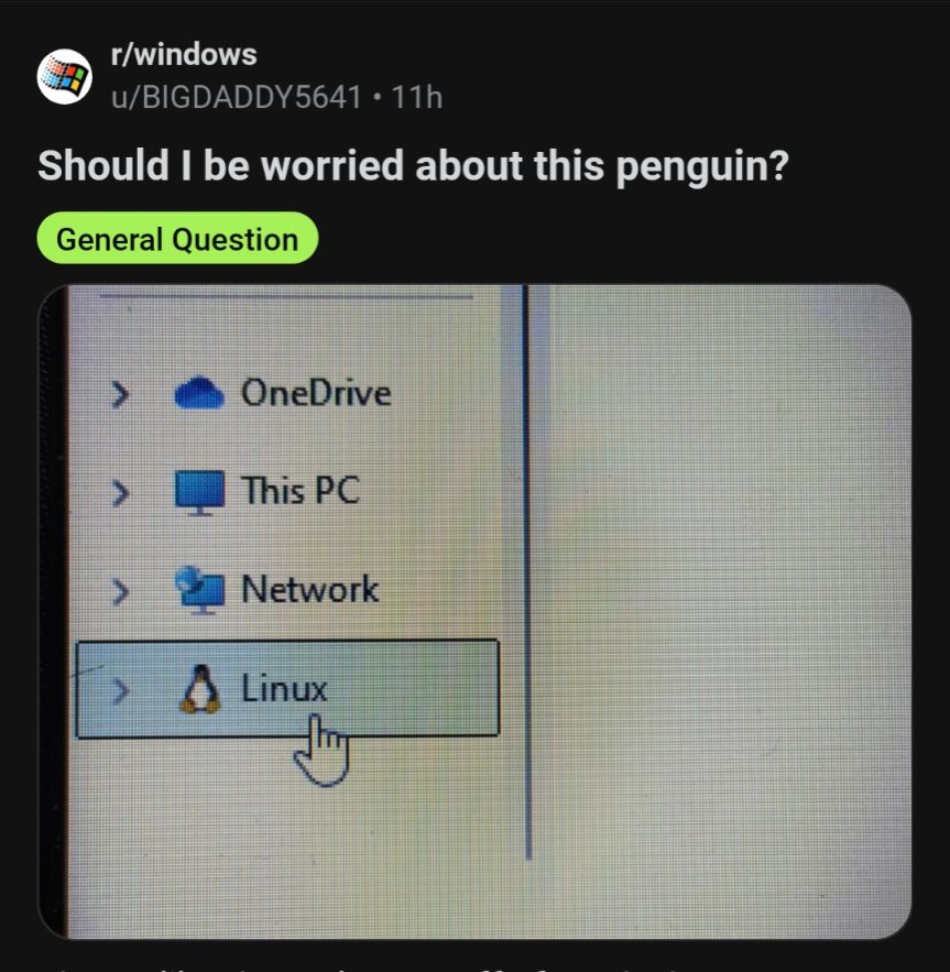 A post on Reddit saying "should I be worried about this penguin?". Below, a photo of the linux entry in file explorer, which is depicted by Tux (a penguin icon)