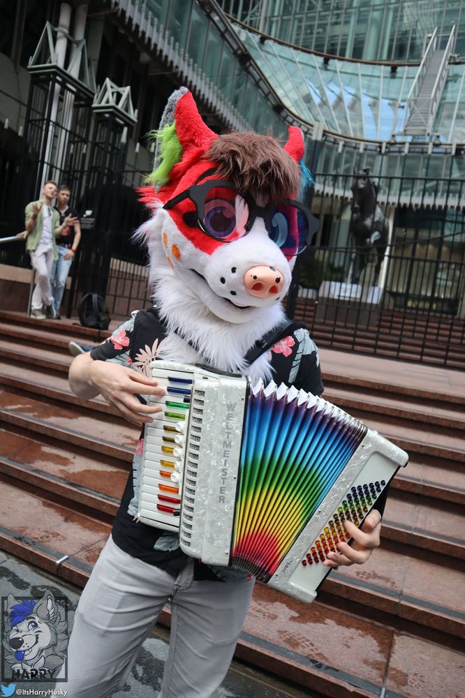 fox fursuiter playing a rainbow accordion wearing sunglasses