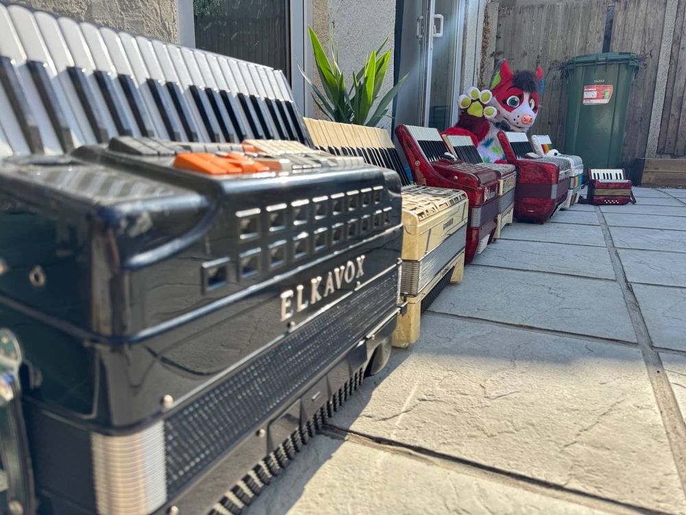 a line of accordions