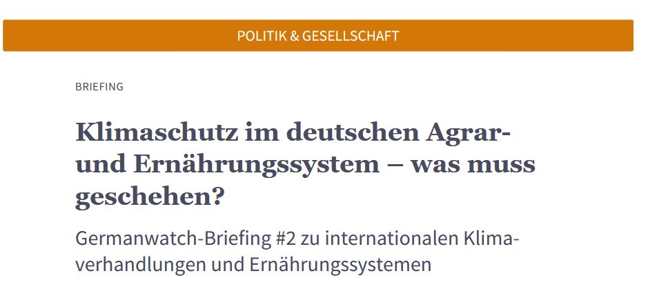 Screenshot mit Überschrift des Germanwatch-Briefings "Klimaschutz im  Agrarsystem"
