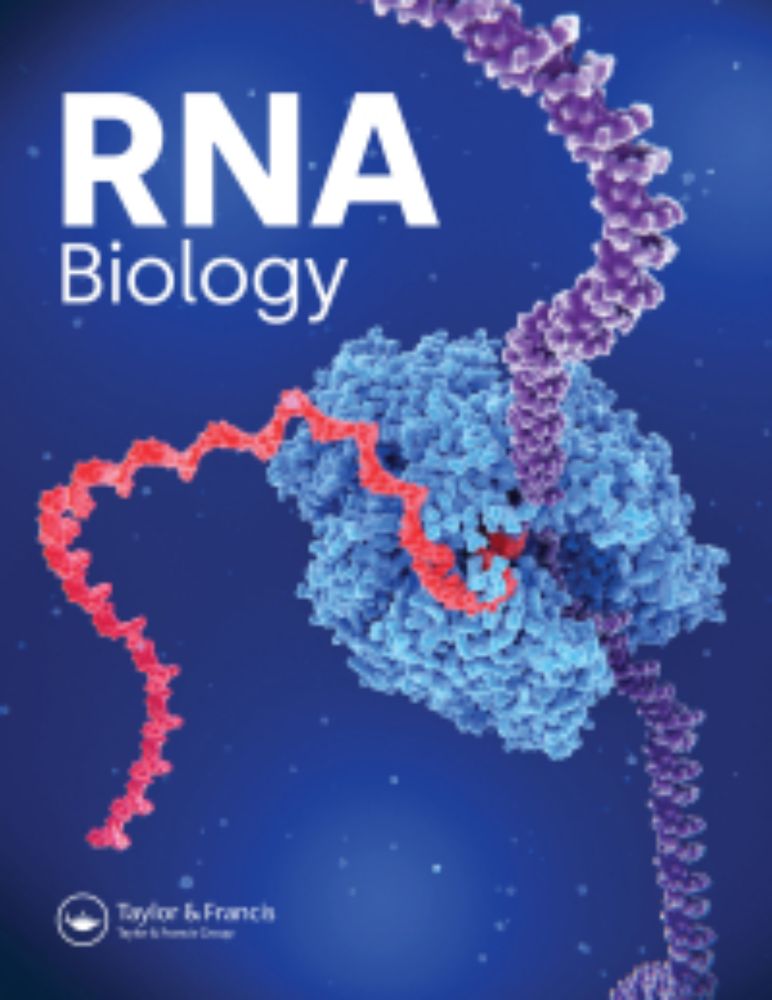 TBP facilitates RNA Polymerase I transcription following mitosis