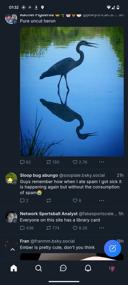 bluesky feed screenshot

posts are:
"Pure uncut heron"
*picture of a heron*

"Guys remember how when I ate spam I got sick it is happening again but without the consumption of spam😭"

"Everyone on this site has a library card"

"Ember is pretty cute, don't you think"