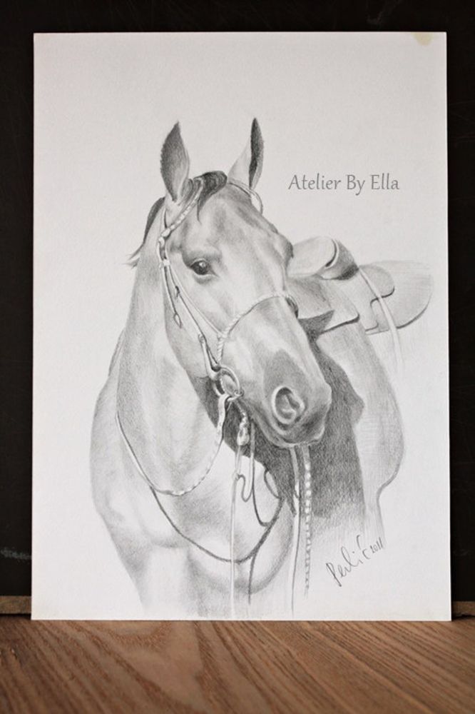 Custom Pet Portrait, Personalised Drawing, Graphite Hand Draw Portraits, Dog Picture, Cat ,horse, A4 Size - Etsy