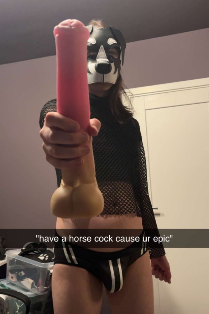person in pup hood and kinky outfit holding a dildo out towards you, with a caption "have a horse cock cause you're epic"