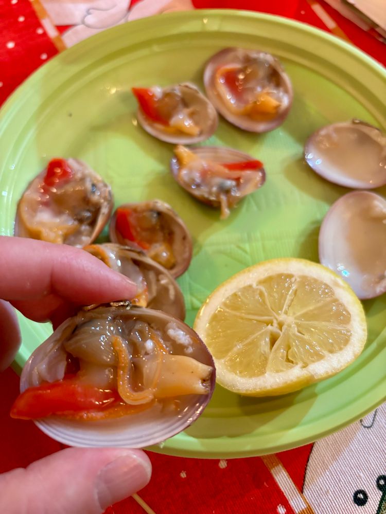 A plate of fresh fasolari (a type of Mediterranean shells) and half a lemon, ready to eat raw.