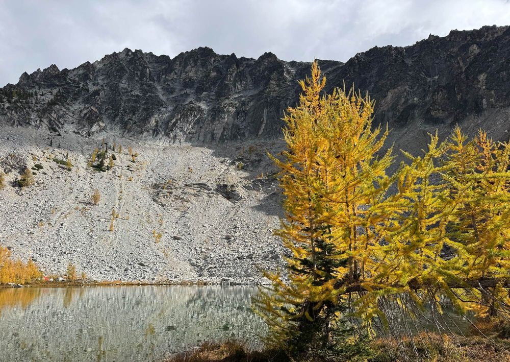 Golden larches glow in the midday sun around an alpine lake, with a mountain ridge visible behind the lake in the background and partly cloudy skies beyond.