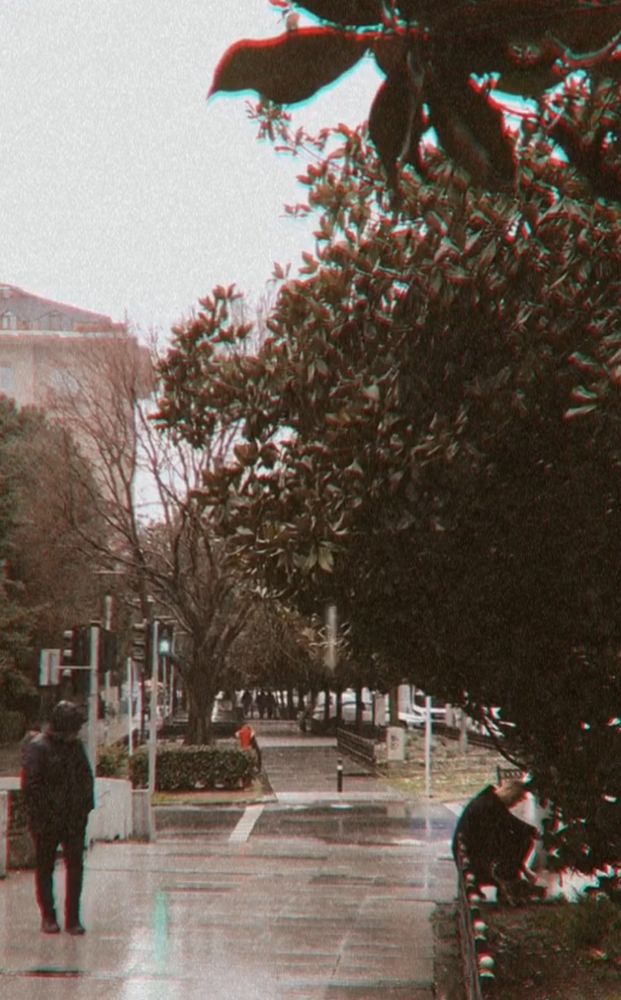 Such a day ..
b00yle bir gün :)