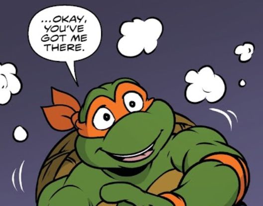 Mikey: "...okay, you've got me there."

Michelangelo from Teenage Mutant Ninja Turtles: Saturday Morning Advenures #30 (IDW)