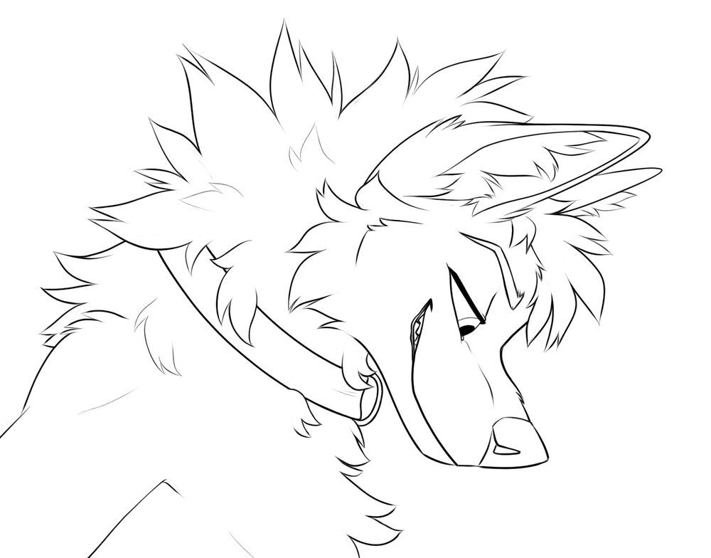 A grinning canine with a collar, partially obscured by his fluffy mane, staring down at  -something-