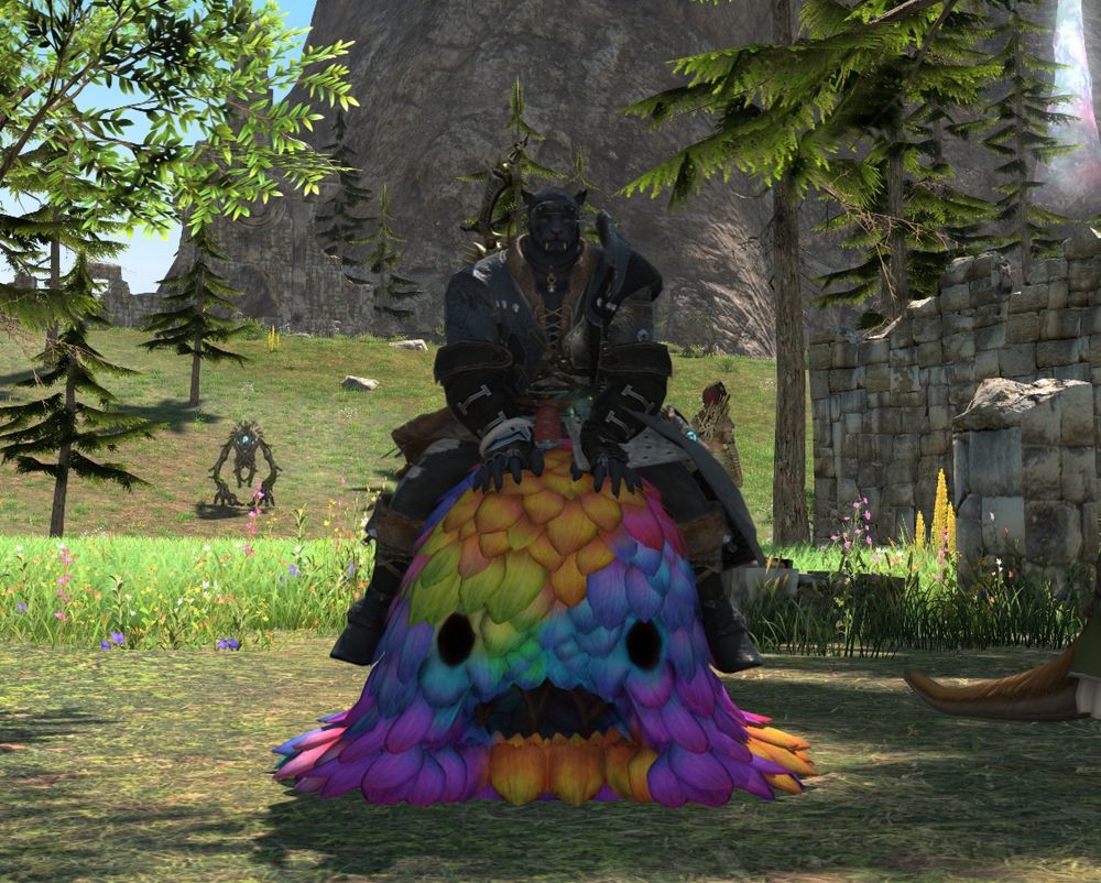 Jaeger sitting on top of the rainbow shrub mount.