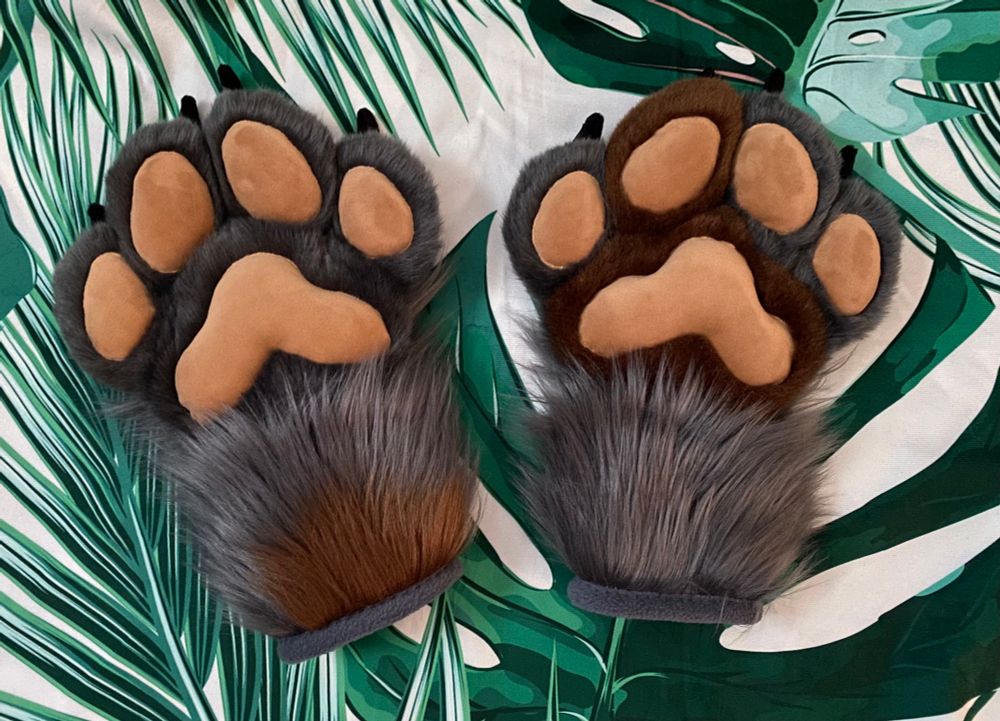 A pair of handpaws - charcoal grey with brown patches, black claws, and tan pawpads